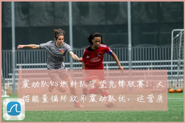 震动队vs燃料队守望先锋联赛:大招能量循环效率震动队优,运营质量差距