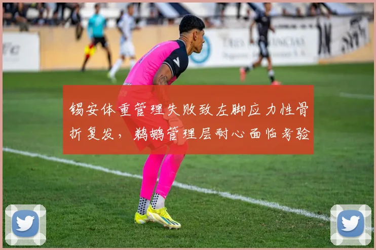 锡安体重管理失败致左脚应力性骨折复发，鹈鹕管理层耐心面临考验